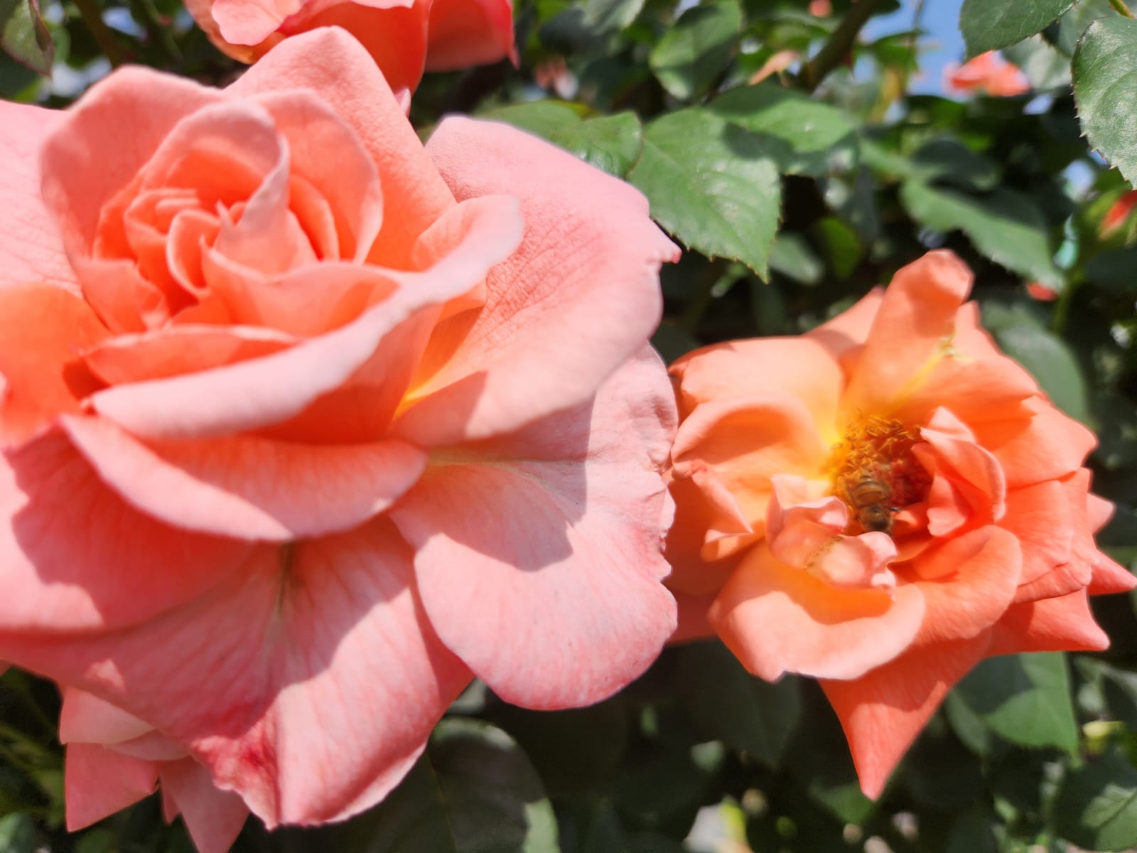 Britney Spears Fantasy