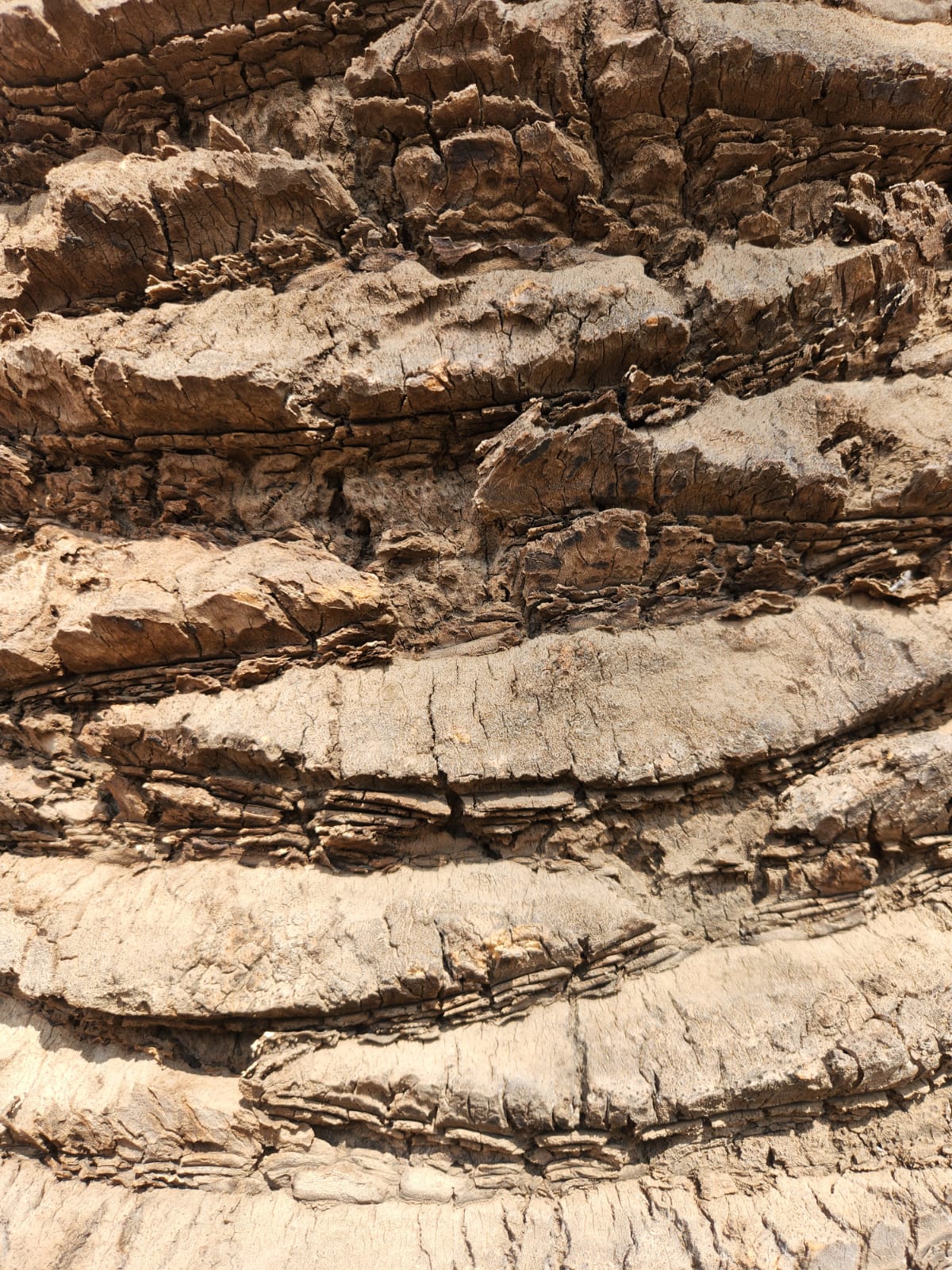 Paco Rabanne Invictus