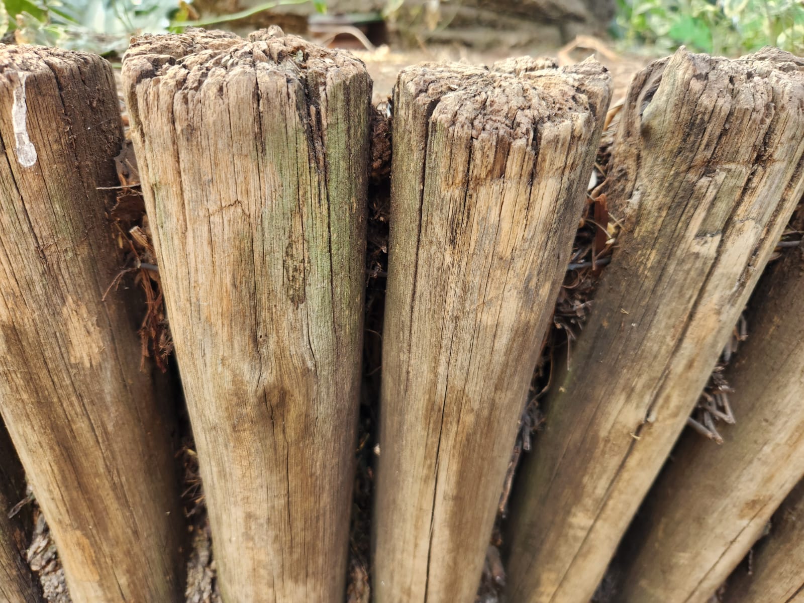 Paco Rabanne Lady Million