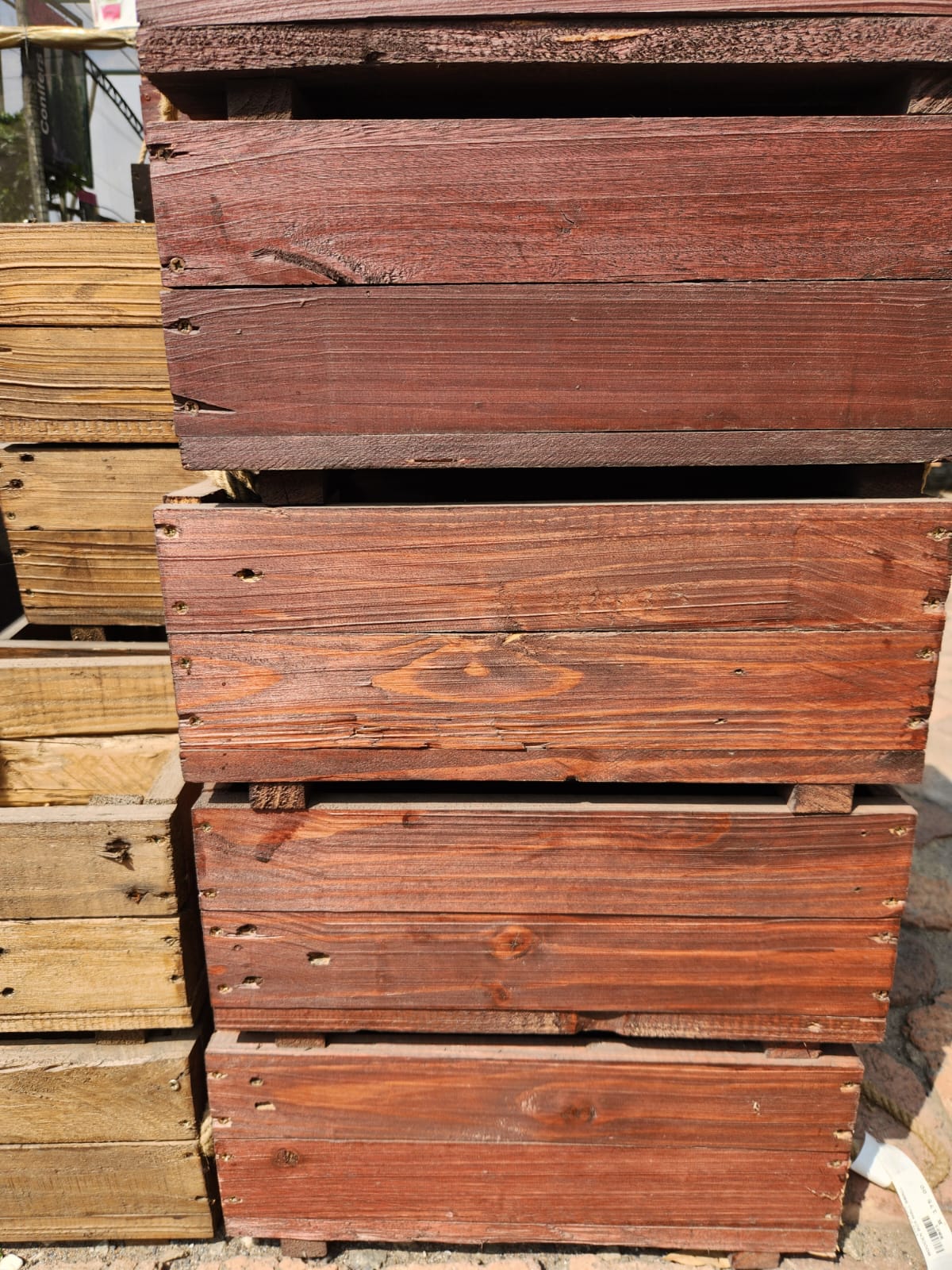 Ted Lapedus Pour Homme